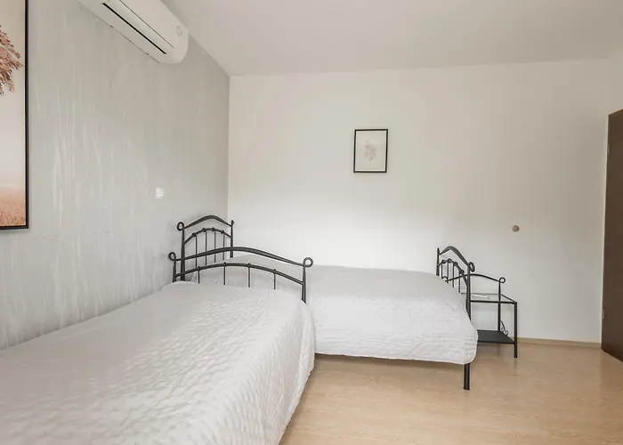 Palanga Τρογκίρ